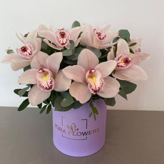 Орхидеи в коробке