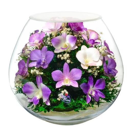 Flowers in glass in vacuum "Diana violet", orchids