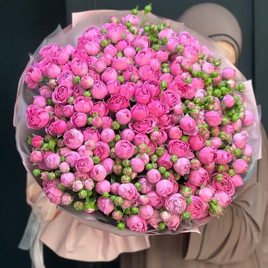 Мисти баблс