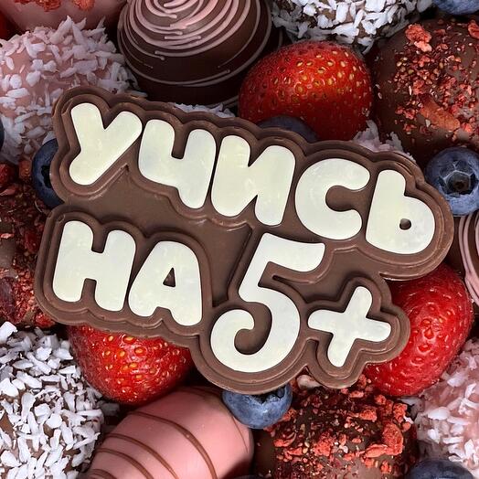 Топпер "Учись на 5+"