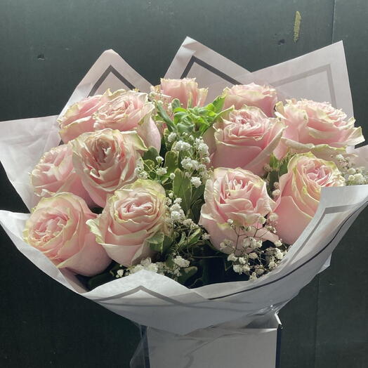 Pastel pink Roses