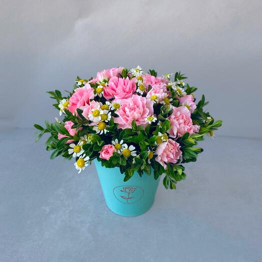 Daisies with bush dianthus