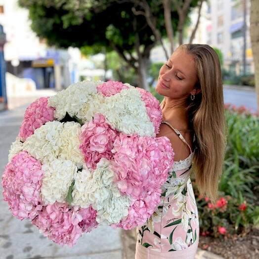 Ramo de hortensia blanca y rosa 10