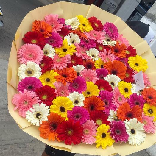 Gerbera mix in box