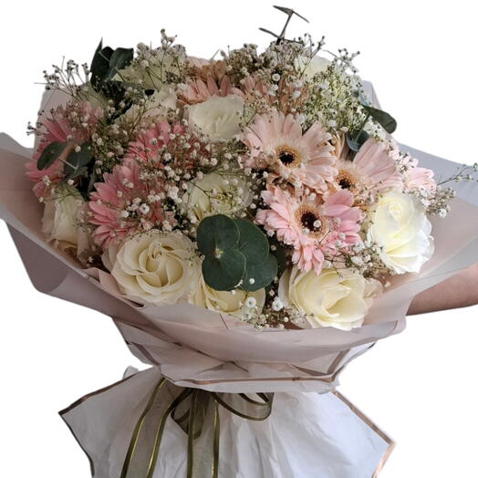 Gerberas pastel