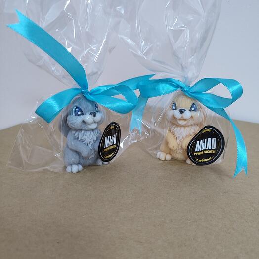 Заяц-топотун