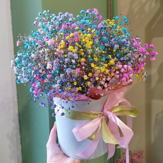 Гипсофила радужная, коробочка с разноцветной гипсофилой 30 см n57
