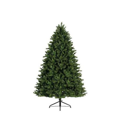 Spruce "Freiburgskaya", 300 cm