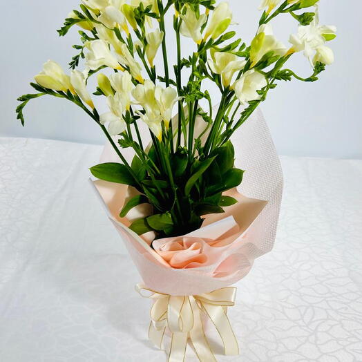 Purely Freesia