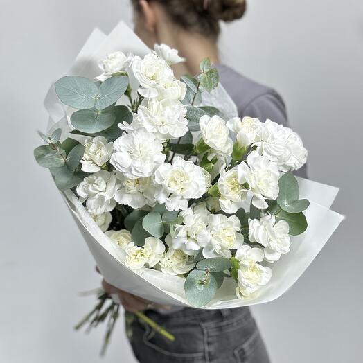 Dianthus arbusto