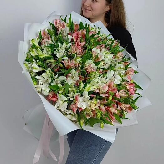 Большой букет альстромерий 51 штука