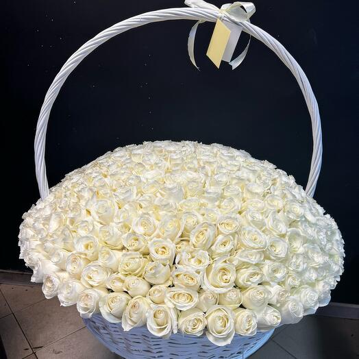 Корзина 351 роза Эквадор