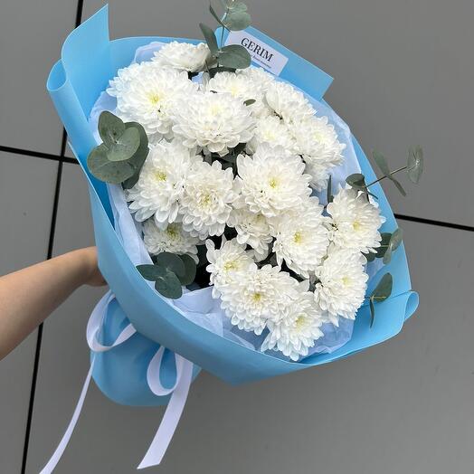 Кустовые хризантемы 5