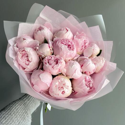 Букет «Пионы 15»