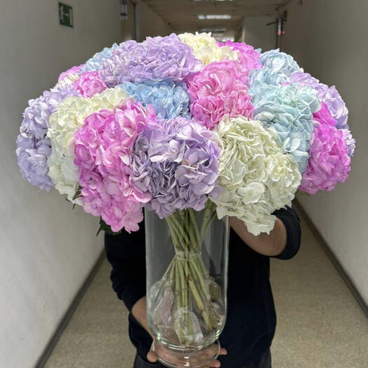 Hydrangea mix with vase