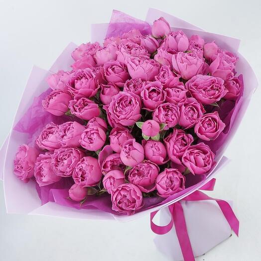 Rosa cespuglio di peonia Misty bubles