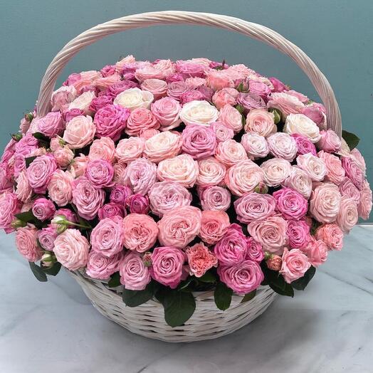 Cesta con rosas arbustos en forma de peonía - 🤩