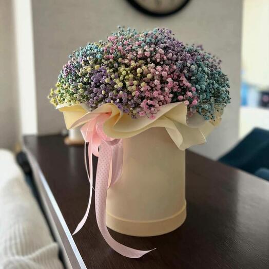 Коробочка с гипсофилой