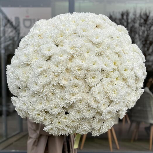 Моно букет из 71 пышной хризантемы