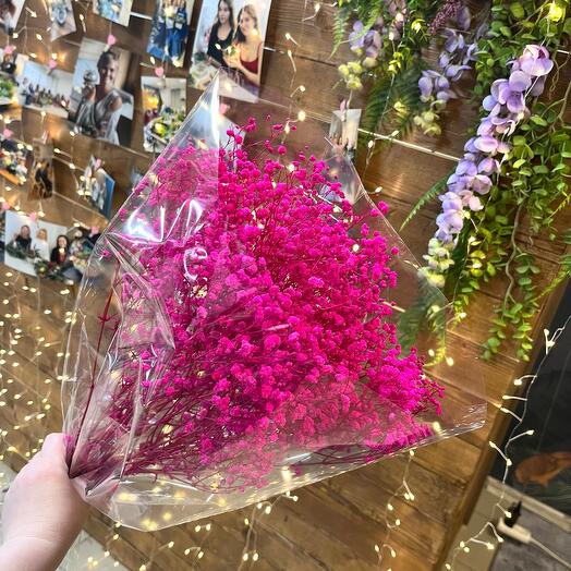 Гипсофила стабилизированная Фуксия