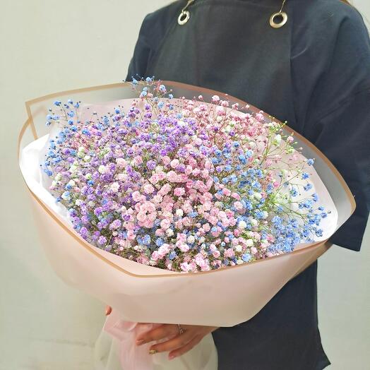 Радужная гипсофила