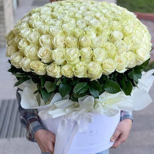 Коробка из 201 розы Эквадор