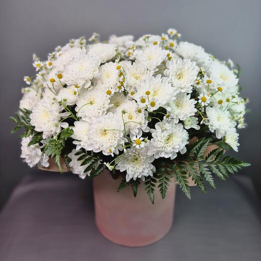 Хризантема и матрикария в шляпной коробке