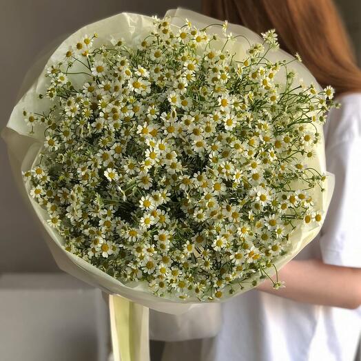Нереальный букет кустовых ромашек