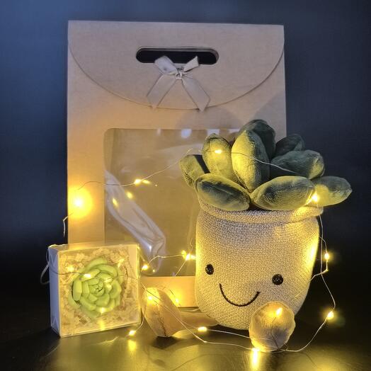 Juguete Suculento y chocolate suculento en una bolsa de regalo con guirnalda