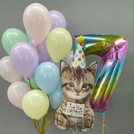 Воздушные шары "Котик поздравляет"