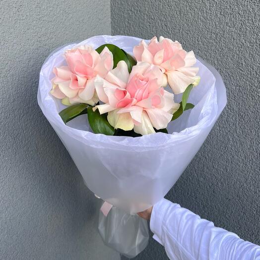 Букет нежно-розовых французских роз💕