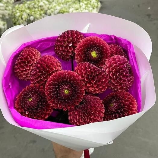 Красные георгины 9 шт