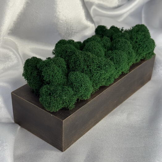 Кашпо со мхом прямоугольное