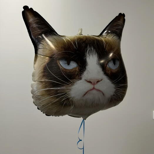 Шар грустный кот