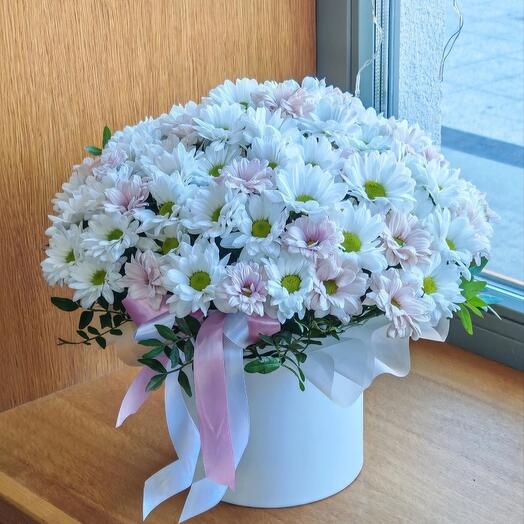 Монокомпозиция из ромашковой хризантемы