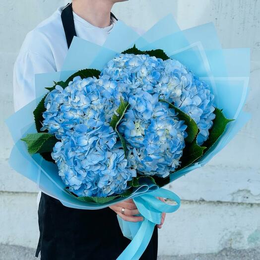 Гортензия. Букет голубых гортензий