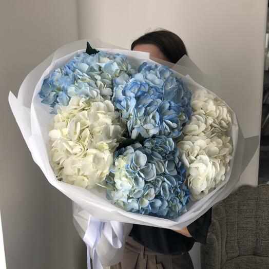 🌷Голубая и белая гортензия 5 шт микс моно букет