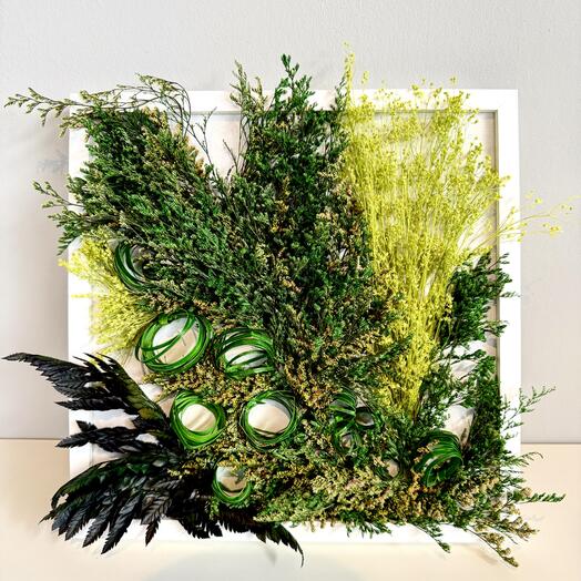 Фитокартина «Green bouquet» из стабилизированных растений