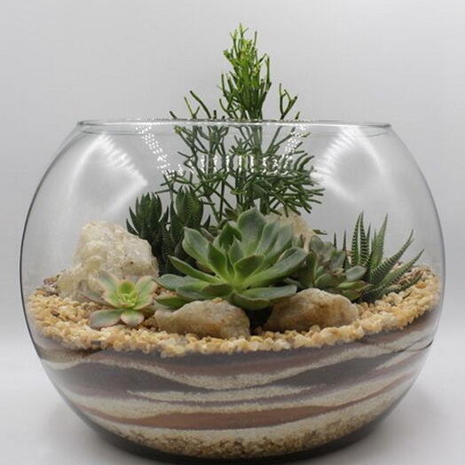 Подарочный сертификат «Мастер-класс создание флорариума» (Пакет 1, 1 человек)