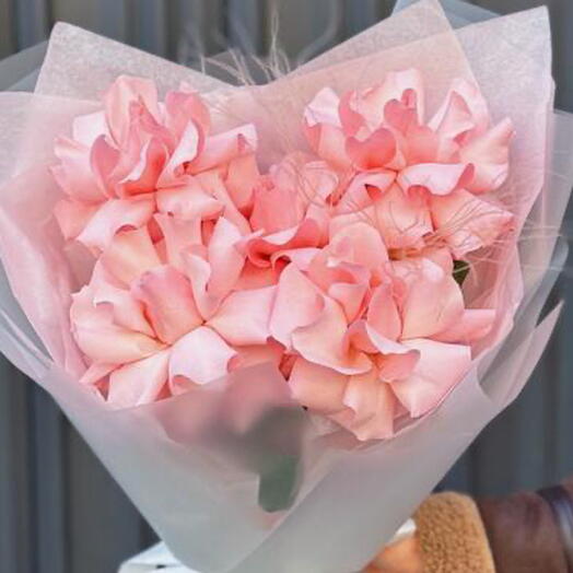 5 нежно-розовых французских роз с «пёрышками»