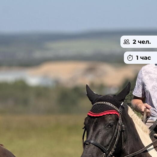 Свидание верхом. Конная прогулка в д. Позднякова
