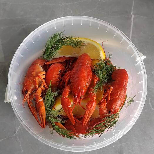 Свеже-сваренные раки 🦞