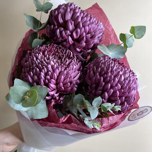 Хризантема Бигуди