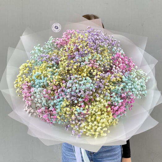 Ramo de gypsophila iridiscente