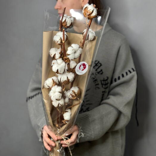 Букет из веточек хлопка (хлопок)