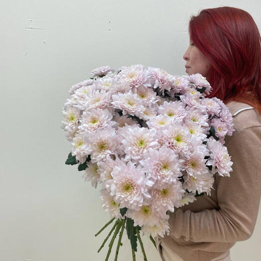 Букет кустовых розовых Хризантем 15 шт
