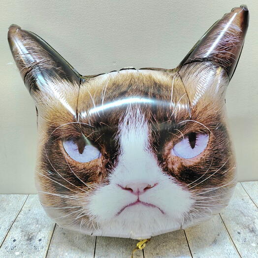 Воздушный шар Сердитый кот