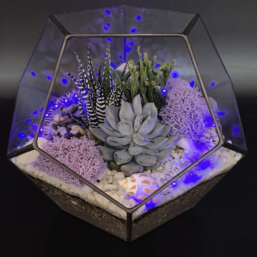 Флорариум с гирляндой и суккулентами Лавандовое сияние р-р  L 20120L