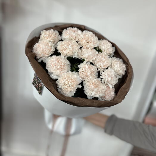 Нежные диантусы в упаковке