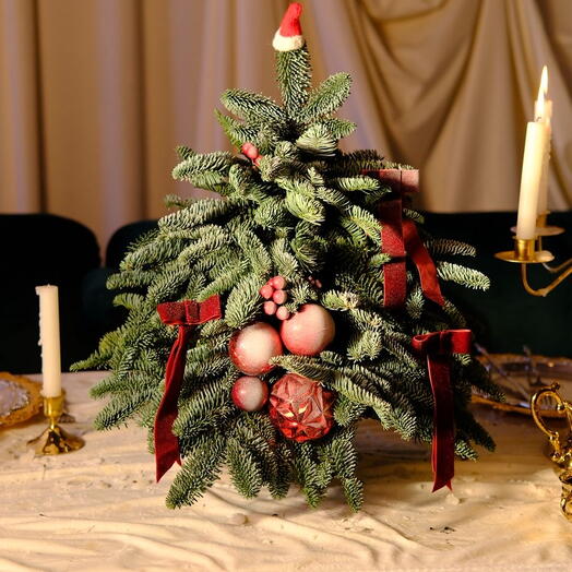 Новогодняя композиция из нобилиса 🌲